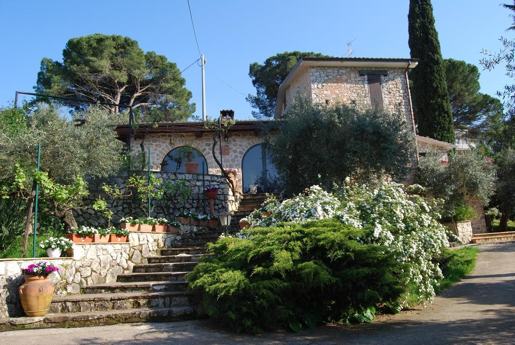 B&B H.M. Sonnino Zewnętrze zdjęcie